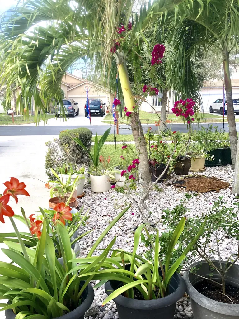 139 Preserve Drive Royal Palm Beach FL 33411