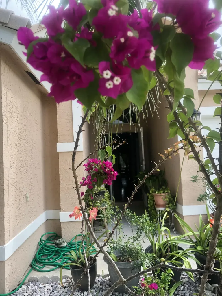 139 Preserve Drive Royal Palm Beach FL 33411