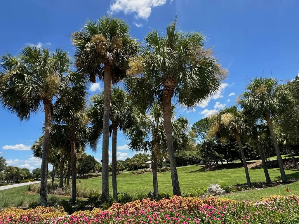 8394 SW 82nd Loop Ocala FL 34481