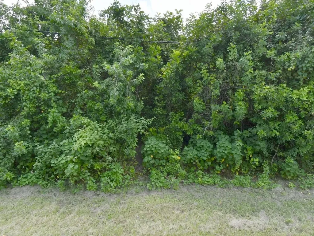 3025 SW Collings Drive Port St Lucie FL 34953