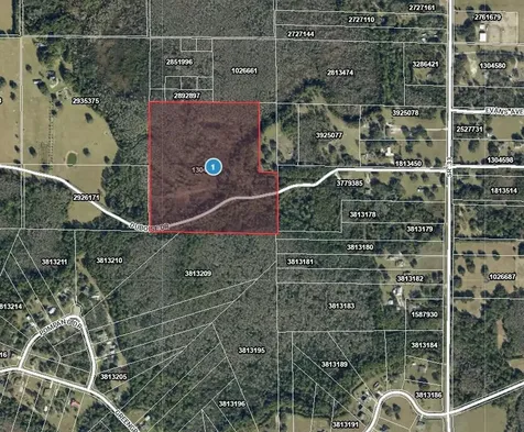 Tbd Duboise Drive Clermont FL 34736