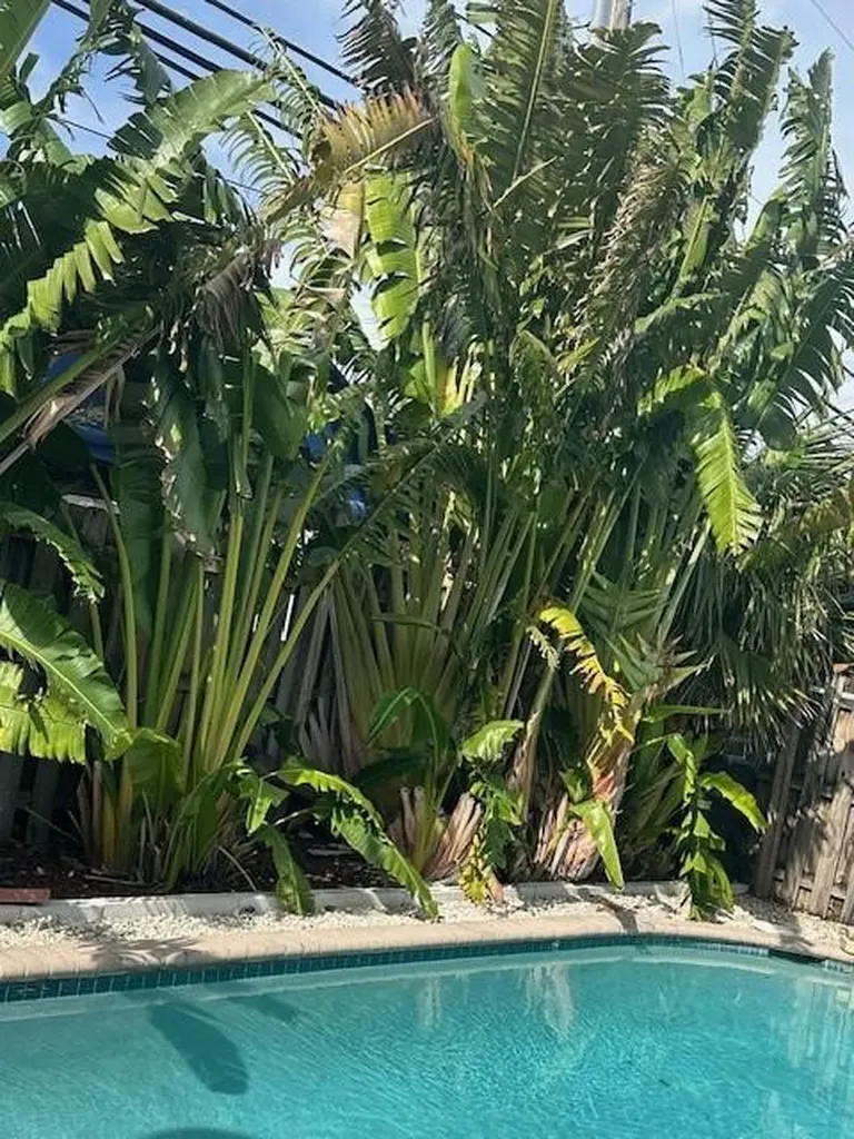 1511 SE 23rd Avenue Pompano Beach FL 33062