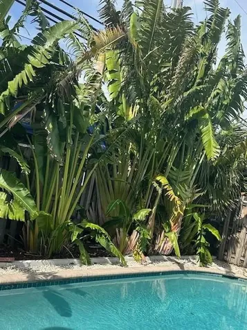 1511 SE 23rd Avenue Pompano Beach FL 33062