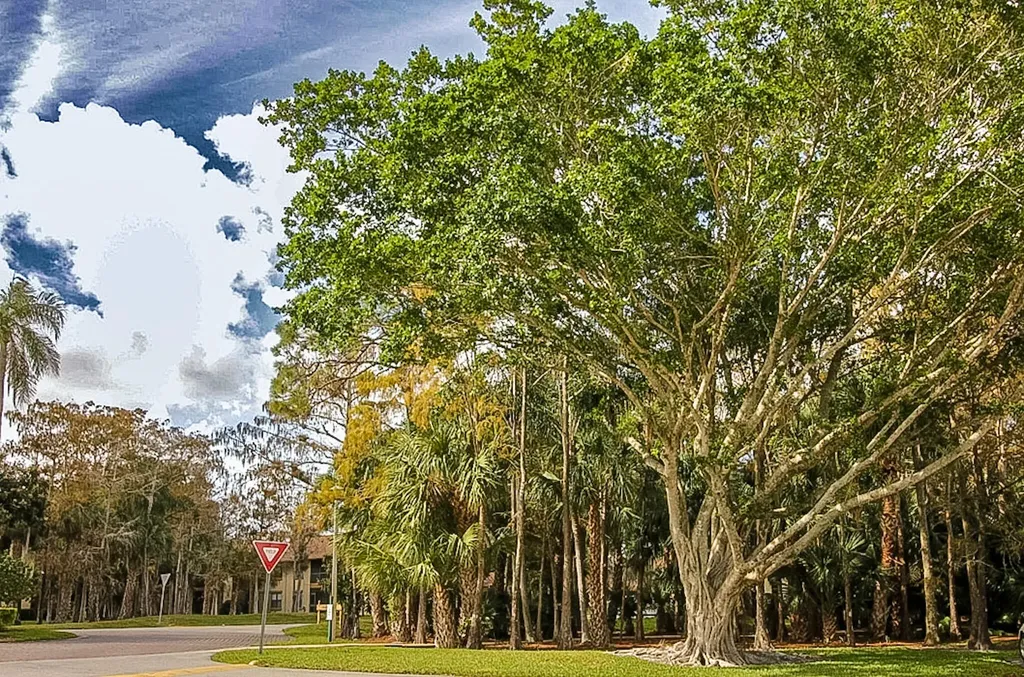 13055 Albright Court Wellington FL 33414