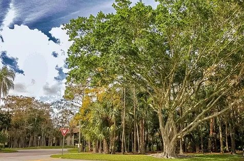 13055 Albright Court Wellington FL 33414