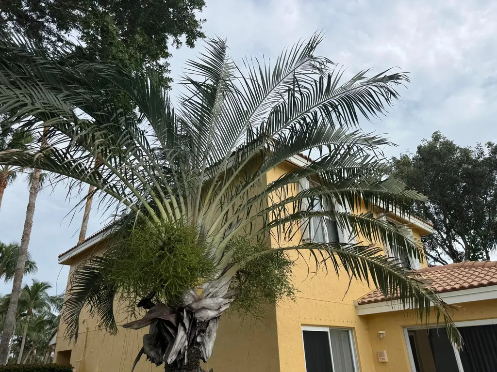 3472 Commodore Court West Palm Beach FL 33411