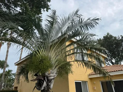 3472 Commodore Court West Palm Beach FL 33411