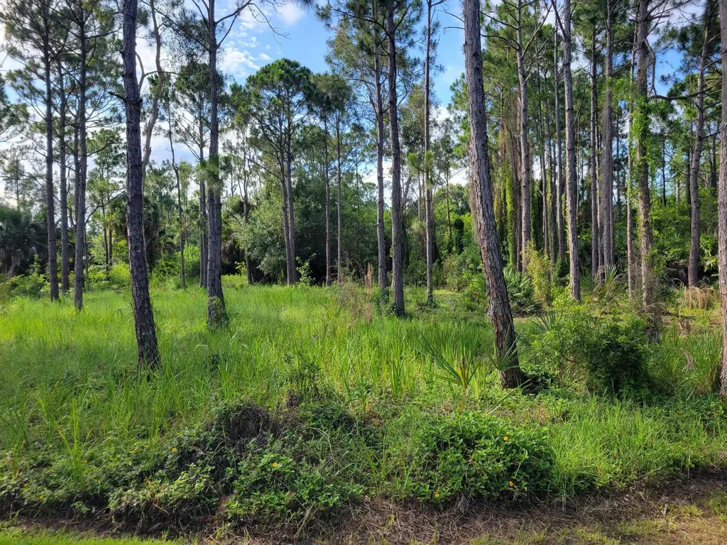 00 Shanas Trail Port St Lucie FL 34952