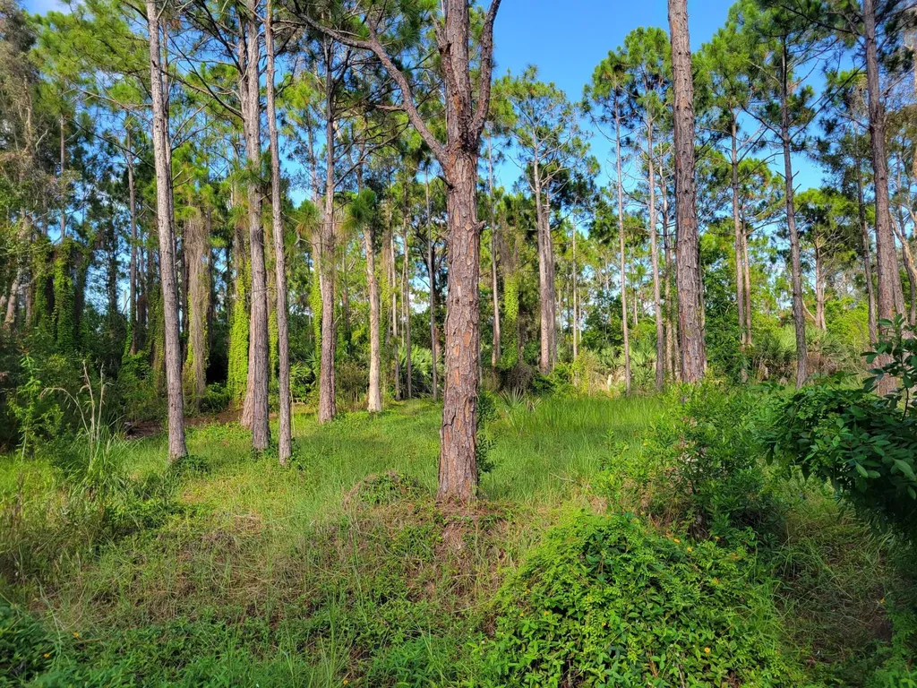 00 Shanas Trail Port St Lucie FL 34952
