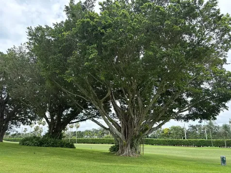 9820 S Hollybrook Lake Drive Pembroke Pines FL 33025