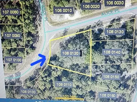 2601 Carol Place Lehigh Acres FL 33971