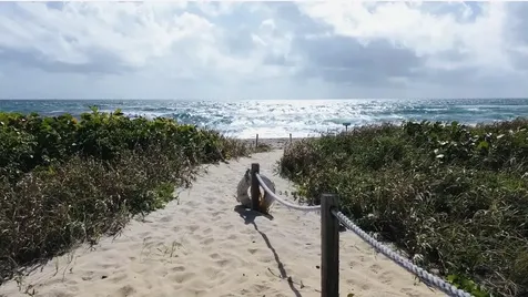1043 Hillsboro Hillsboro Beach FL 33062