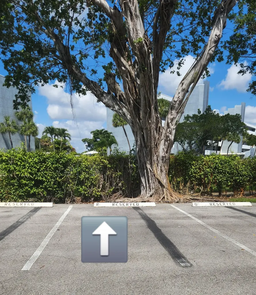 6500 NW 2nd Avenue Boca Raton FL 33487
