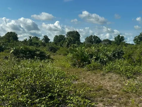 15138 NW 262nd Street Okeechobee FL 34972