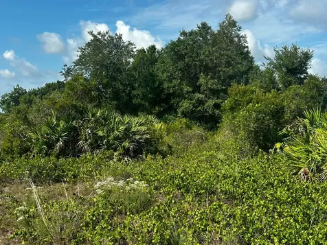 15138 NW 262nd Street Okeechobee FL 34972