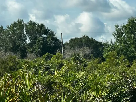 15138 NW 262nd Street Okeechobee FL 34972