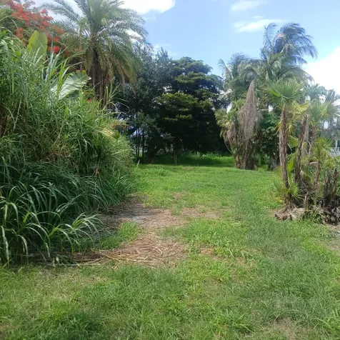 . SW Conners Highway W Canal Point FL 33438