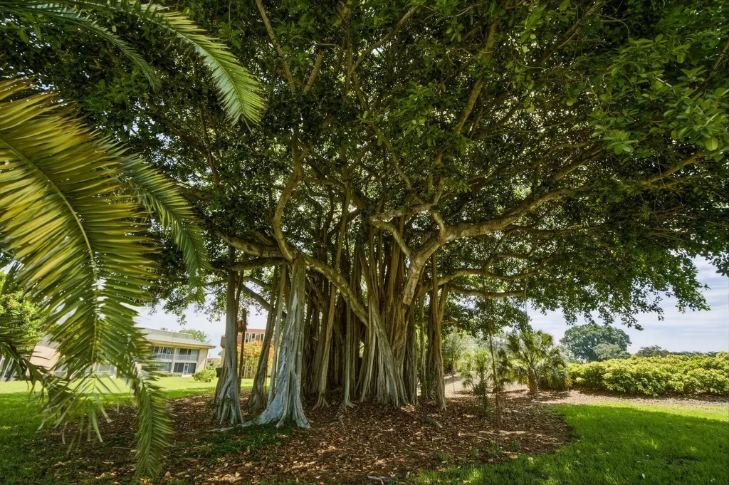 10720 Avenue Of The Avenue Palm Beach Gardens FL 33418