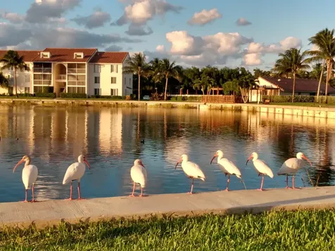 4436 NE Ocean Boulevard Hutchinson Island FL 34957