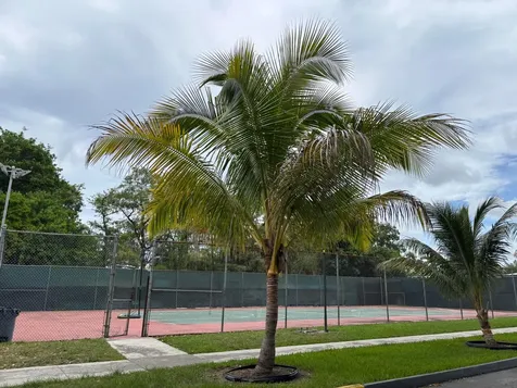 8051 S Colony Circle Tamarac FL 33321