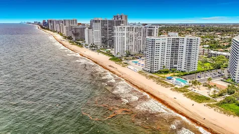 4117 Bougainvilla Drive Lauderdale By The Sea FL 33308