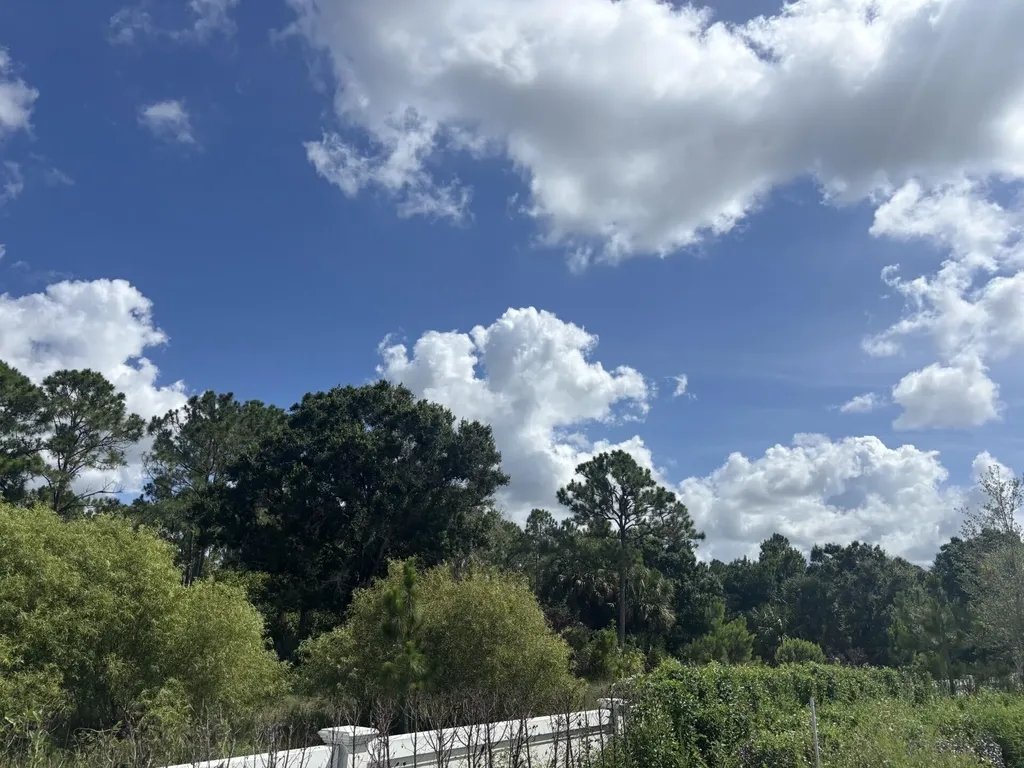 13101 Monte Rosa Court Palm Beach Gardens FL 33412