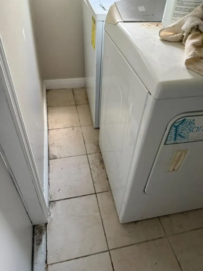 9519 Birmingham Drive Palm Beach Gardens FL 33410