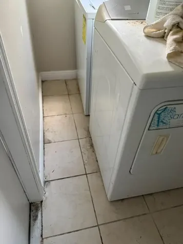 9519 Birmingham Drive Palm Beach Gardens FL 33410