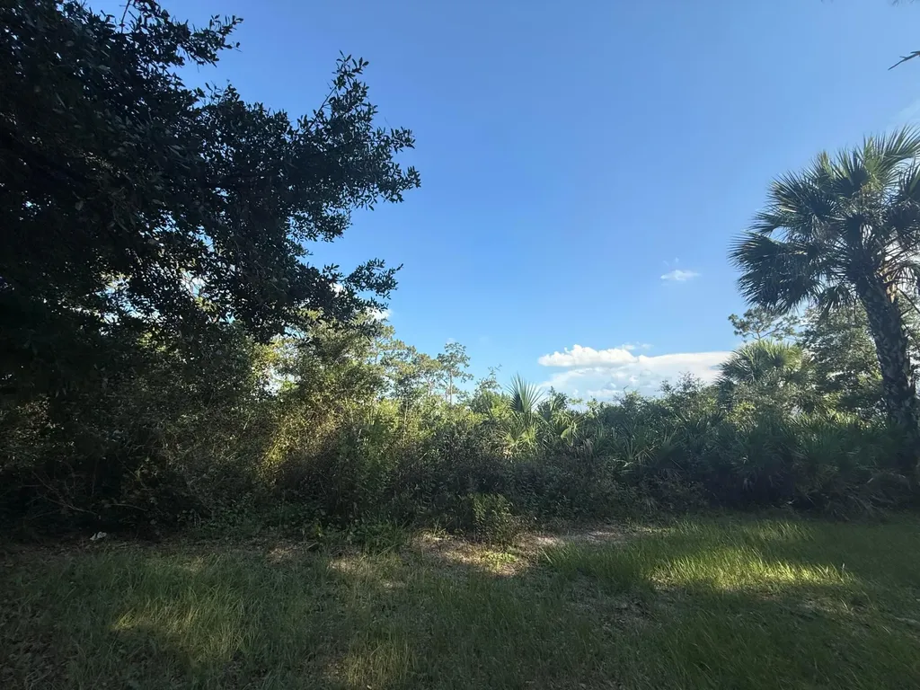 3349 NE 301st Boulevard Okeechobee FL 34972