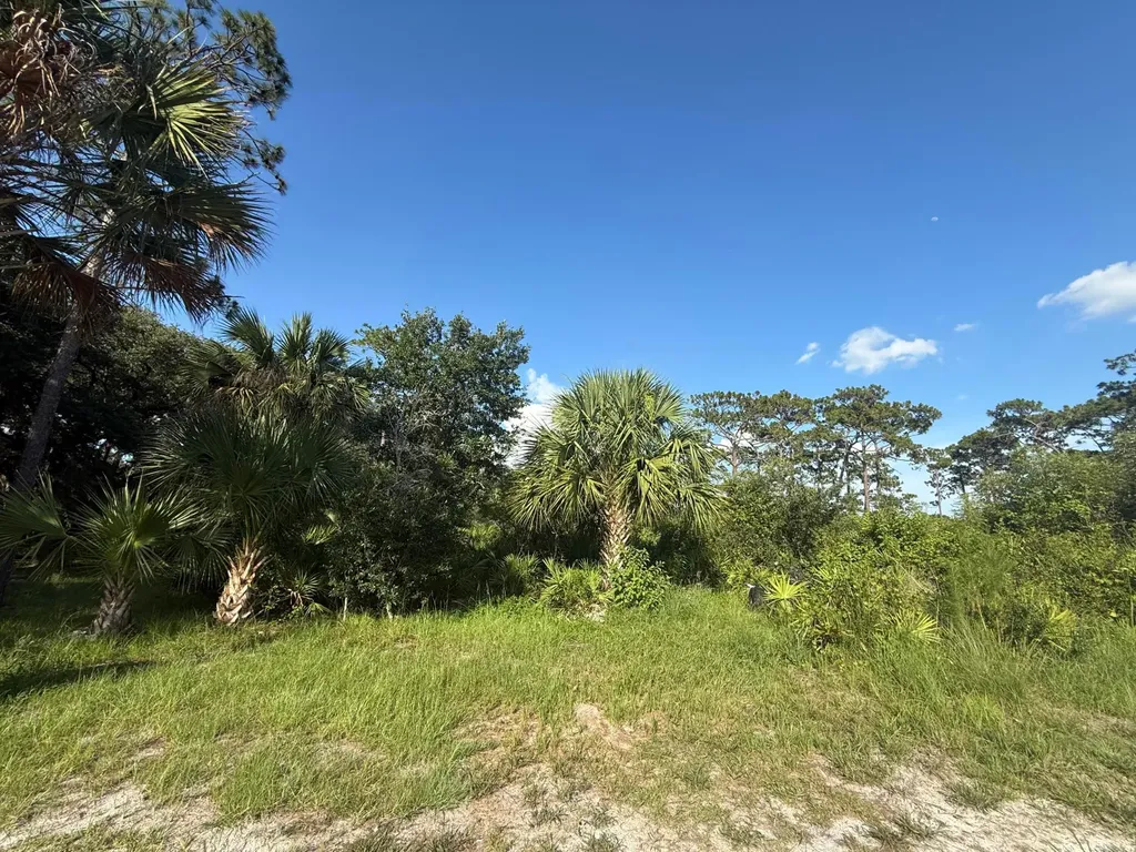 3349 NE 301st Boulevard Okeechobee FL 34972