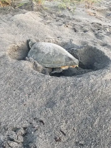 100 S Beach Road Jupiter FL 33469