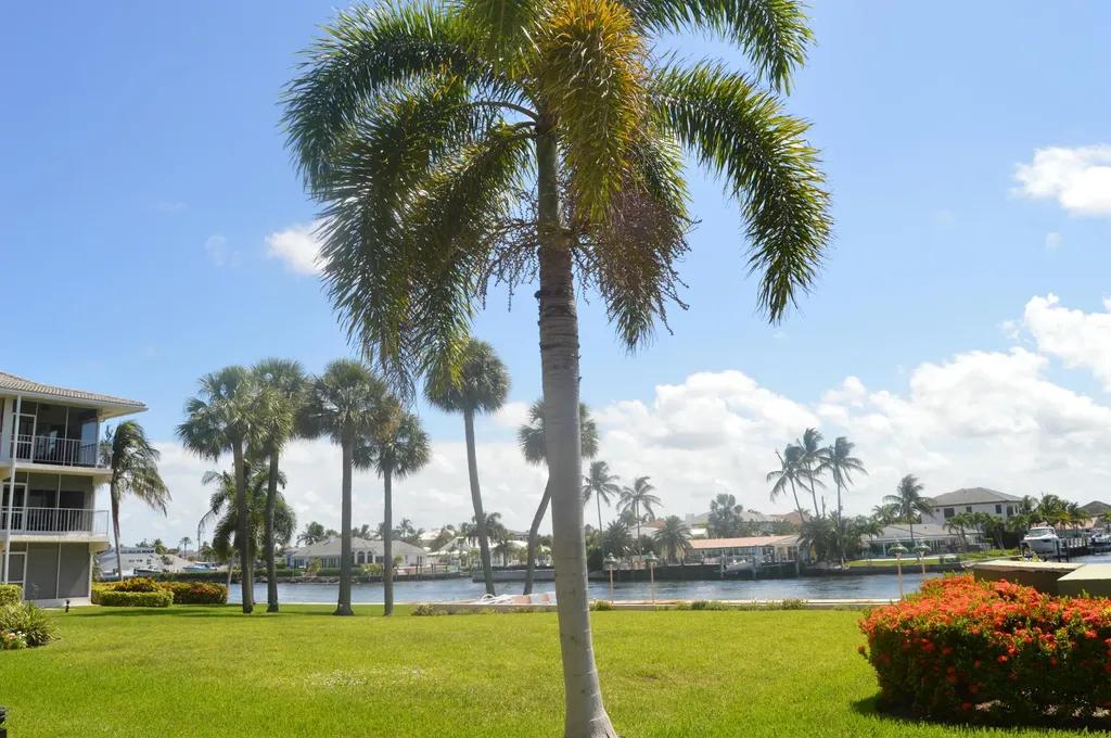 745 SE 19th Avenue Deerfield Beach FL 33441