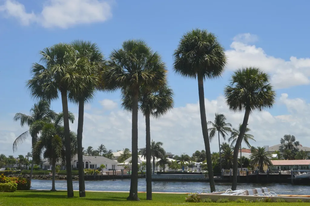745 SE 19th Avenue Deerfield Beach FL 33441
