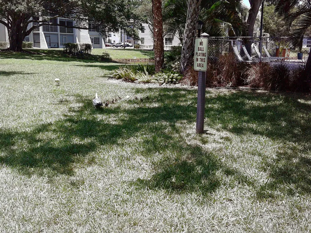 9420 Poinciana Place Davie FL 33324