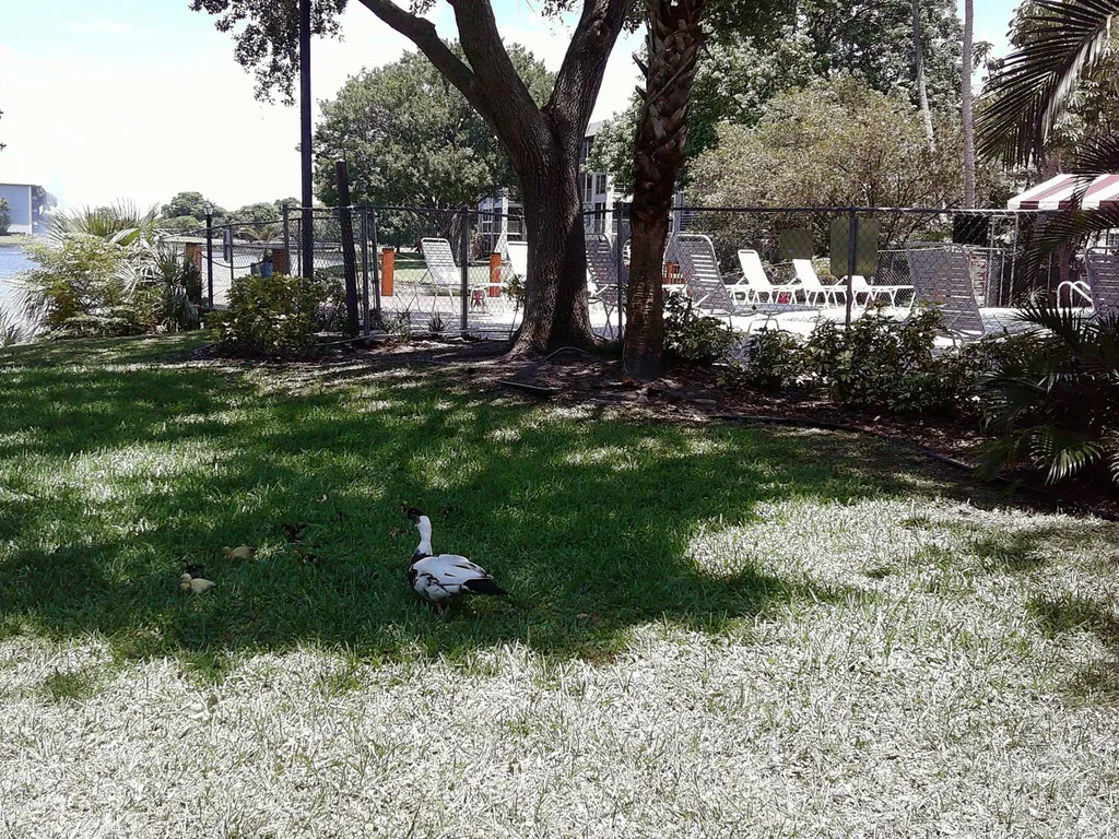 9420 Poinciana Place Davie FL 33324