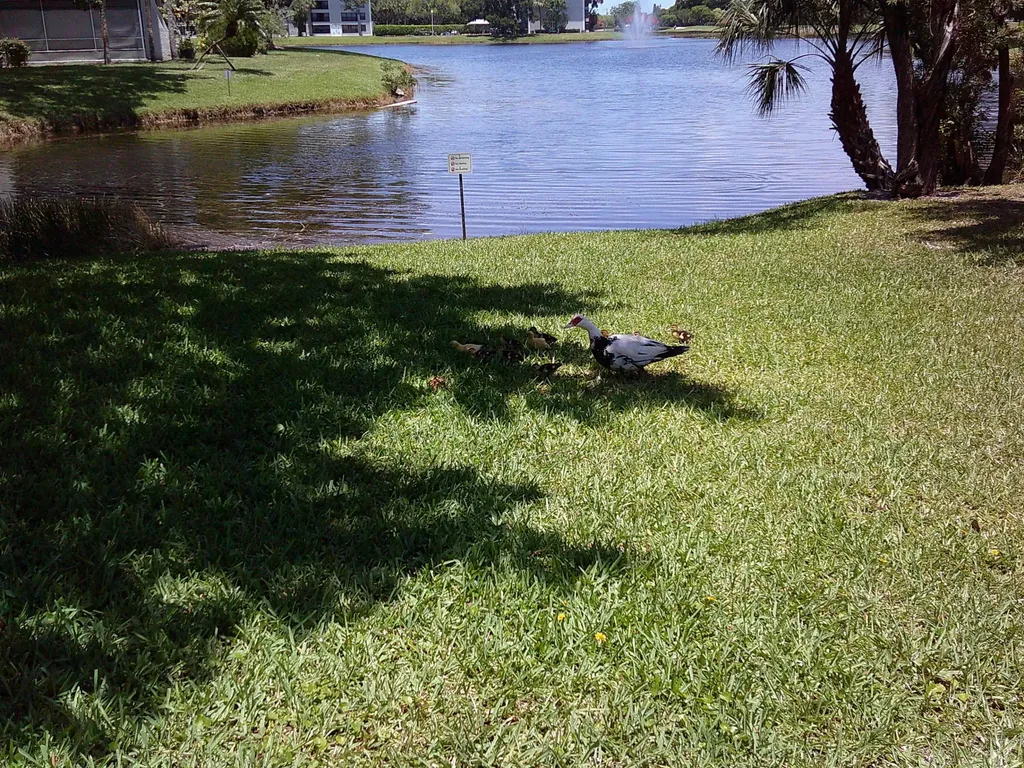 9420 Poinciana Place Davie FL 33324