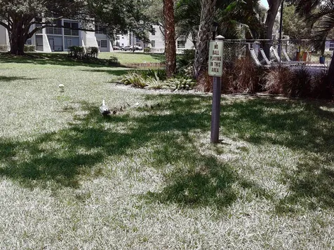 9420 Poinciana Place Davie FL 33324