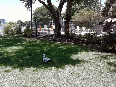 9420 Poinciana Place Davie FL 33324