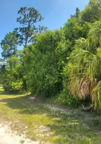 10725 90th Street Vero Beach FL 32967