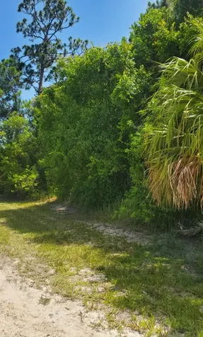 10725 90th Street Vero Beach FL 32967