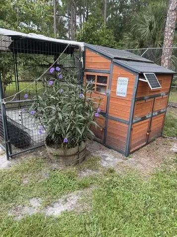 11525 N 157th Place Jupiter FL 33478