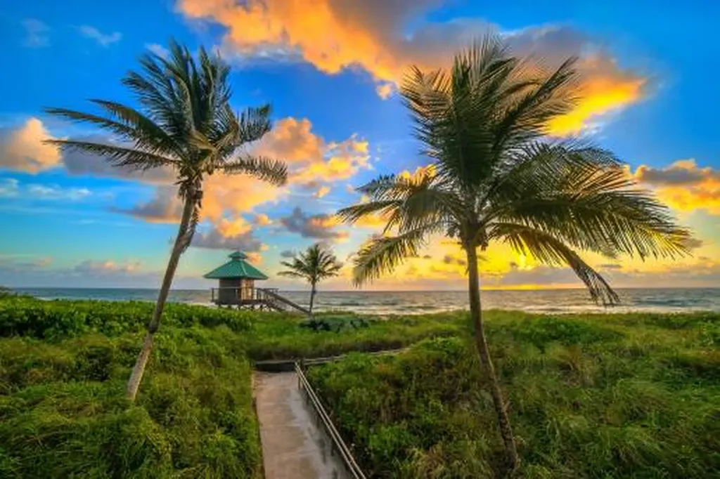6500 NW 2nd Avenue Boca Raton FL 33487