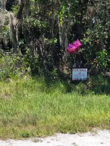 3249 Oriole Court Lake Placid FL 33852