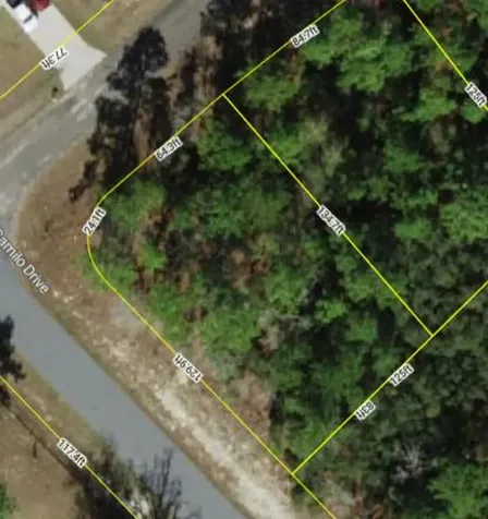 9239 N Marcus Way Dunnellon FL 34433