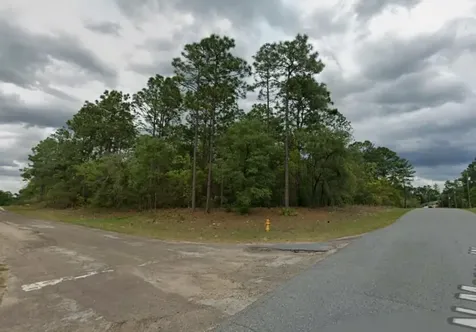 9239 N Marcus Way Dunnellon FL 34433