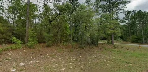 9239 N Marcus Way Dunnellon FL 34433