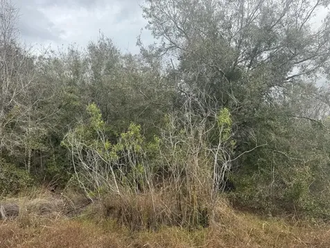17667 NW 254th Street Okeechobee FL 34972