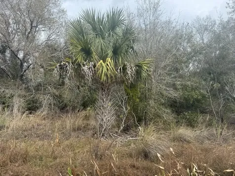 17667 NW 254th Street Okeechobee FL 34972