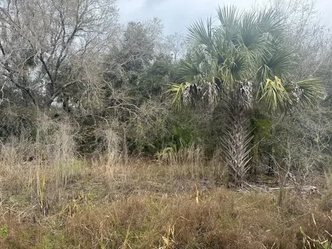 17667 NW 254th Street Okeechobee FL 34972