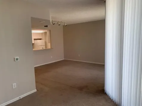 255 Evernia Street West Palm Beach FL 33401